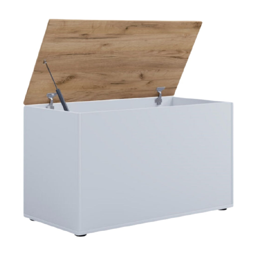 Coffre de rangement pour intérieur en bois et MDF - 120 x 60 x 60